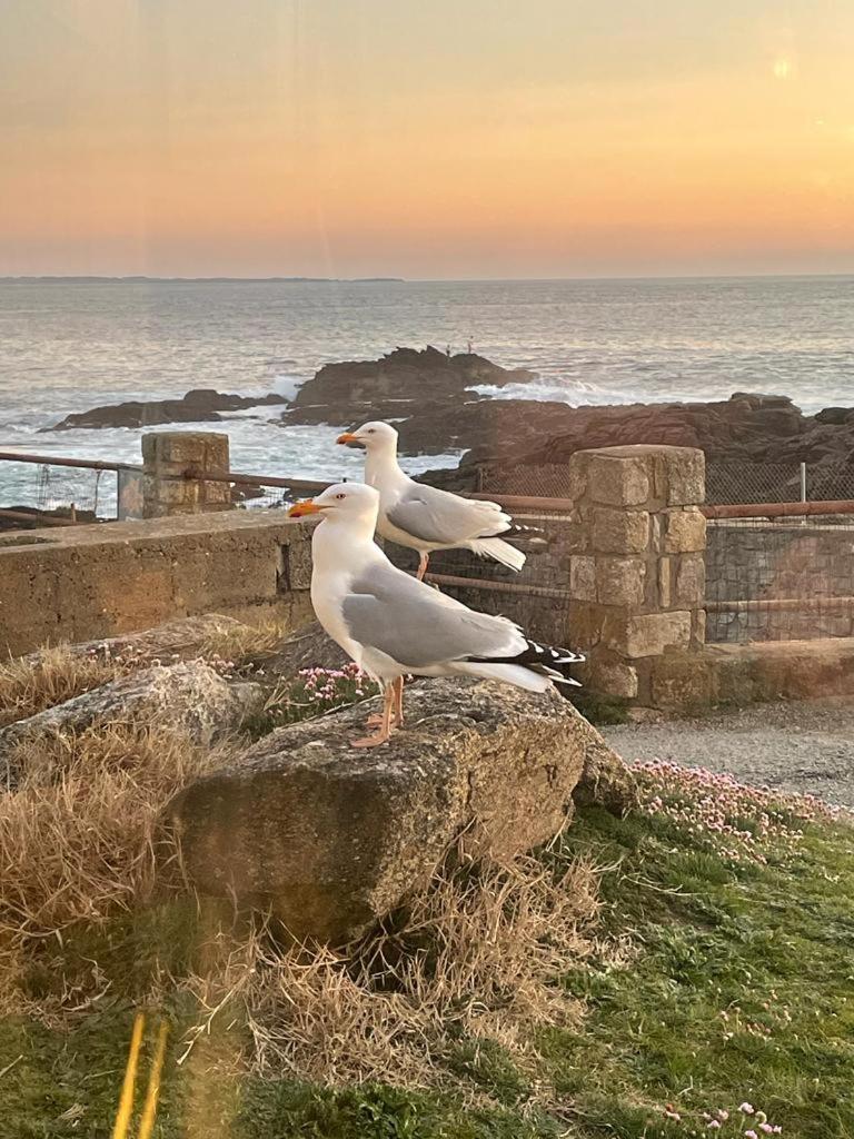 Plages Et Centre A Pieds... Quiberon